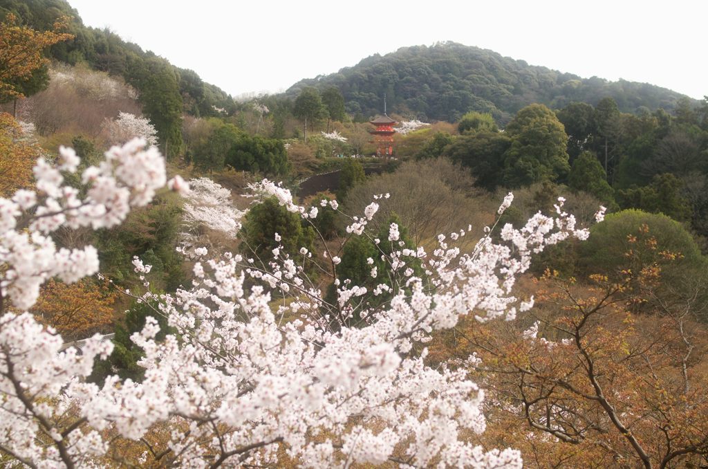 2015年4月　京都・清水寺