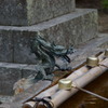 中山寺　77㎜にて。
