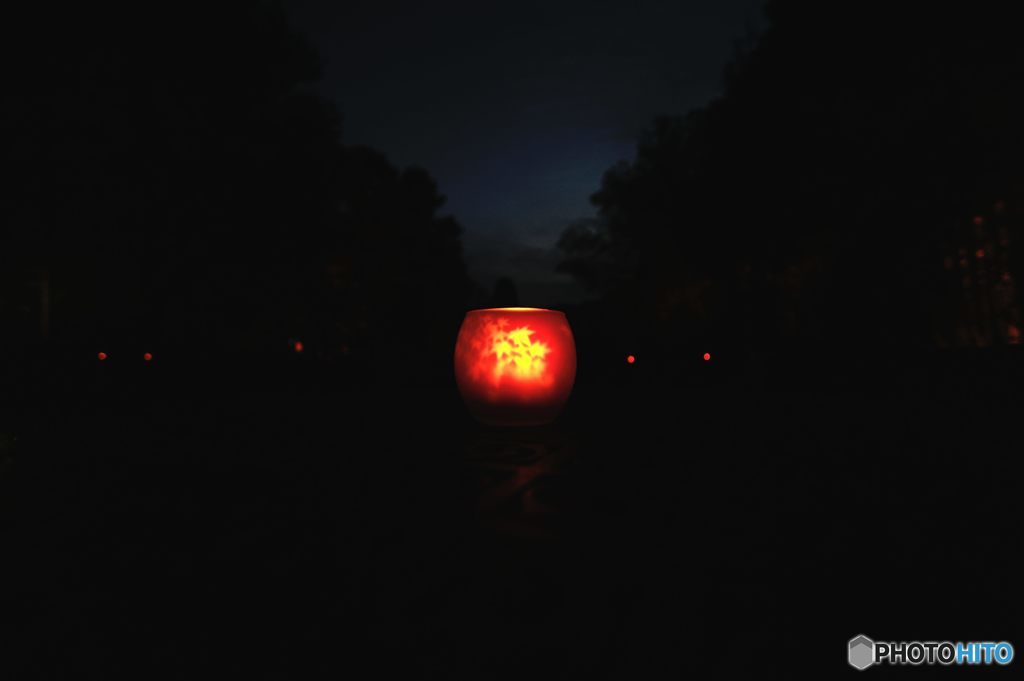 2015年11月　須磨離宮公園・もみじキャンドルナイト