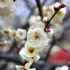 万博公園