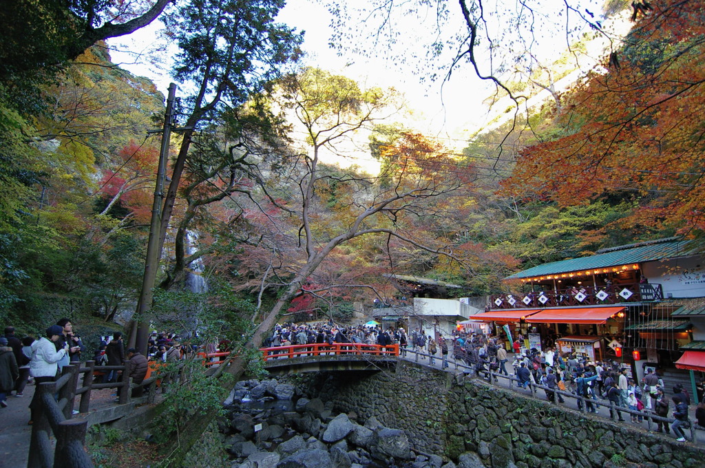 箕面滝道