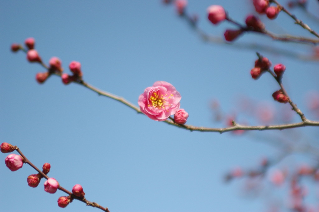 万博公園