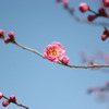 万博公園