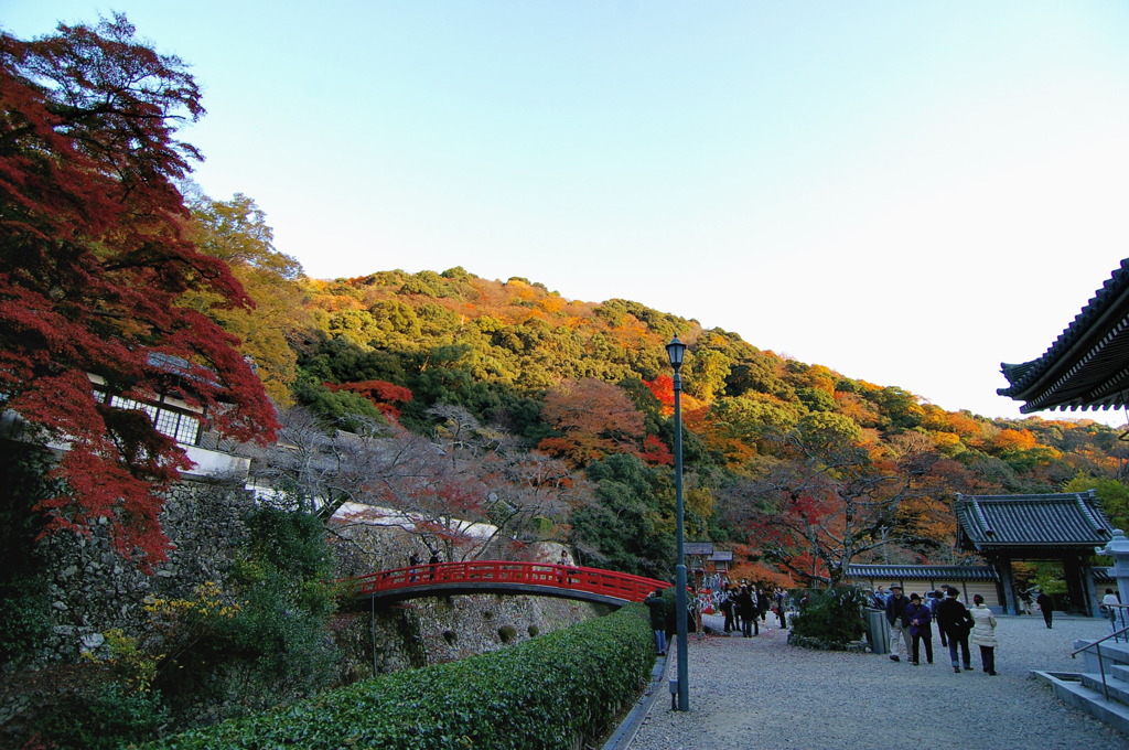 箕面滝道