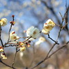 万博公園