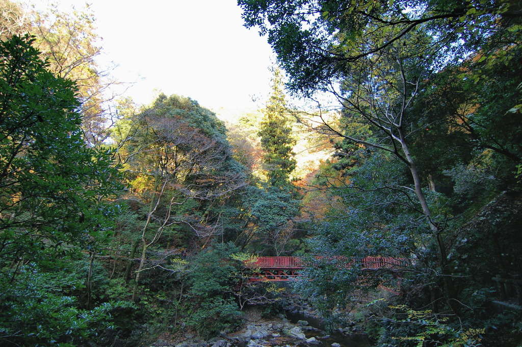 箕面滝道