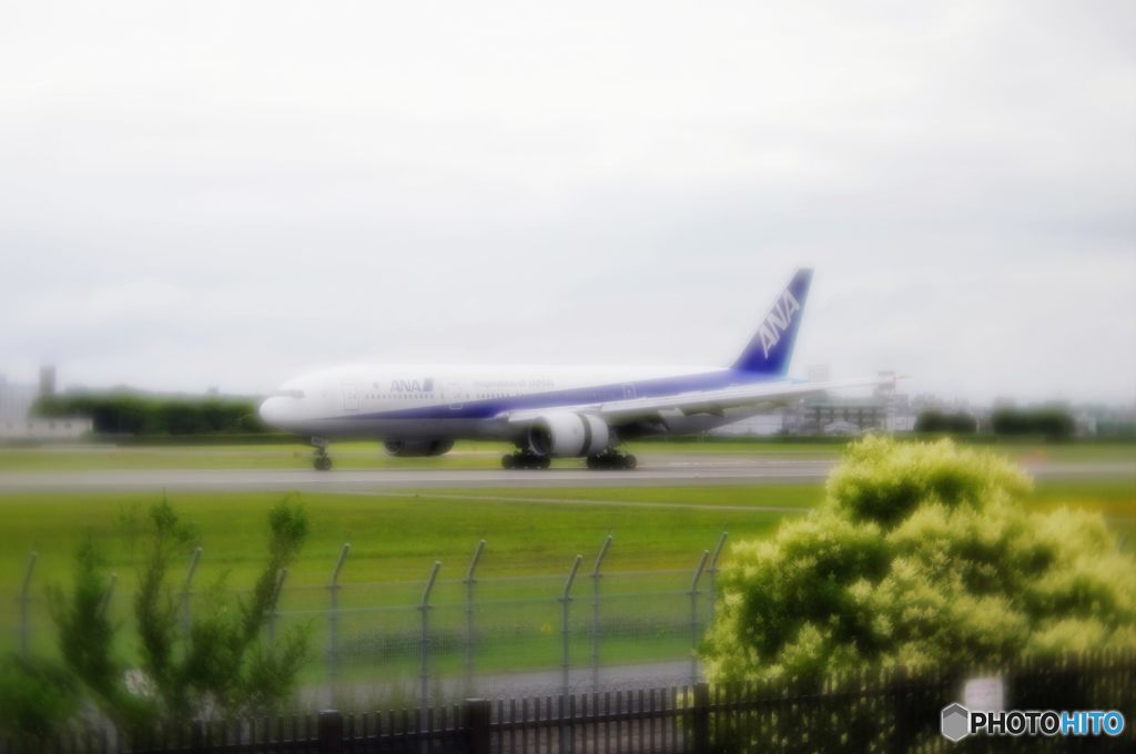 2015年6月　伊丹空港