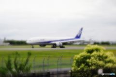 2015年6月　伊丹空港