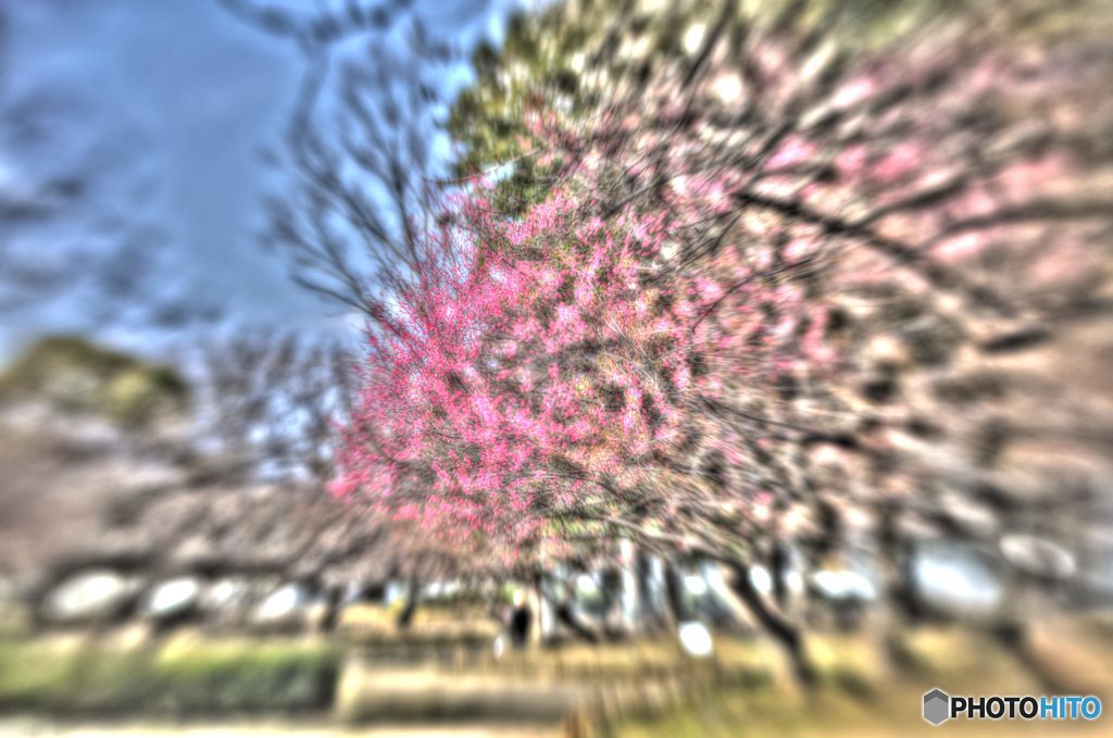 2019年2月　農業公園