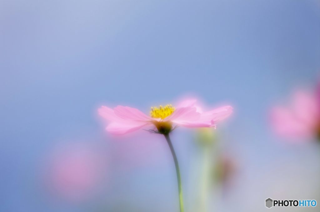 2015年9月　西武庫公園