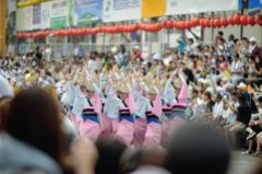2014年8月　阿波踊り