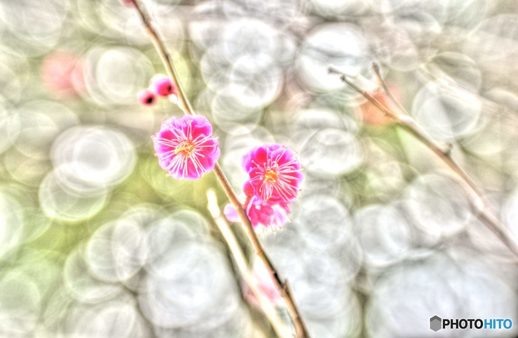 2019年2月　農業公園