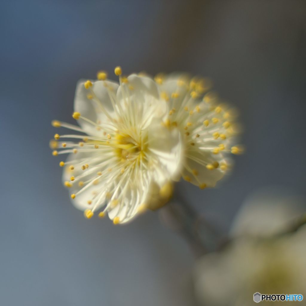 2017年2月　上坂部西公園