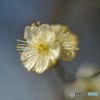 2017年2月　上坂部西公園