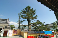 中山寺