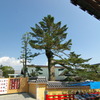 中山寺