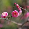 万博公園