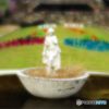 2015年11月　須磨離宮公園