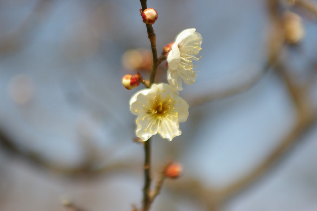 万博公園