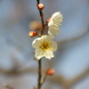 万博公園