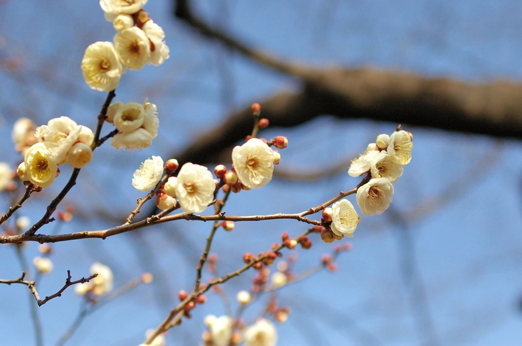 万博公園