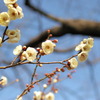 万博公園