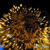 2018年12月　大阪・御堂筋