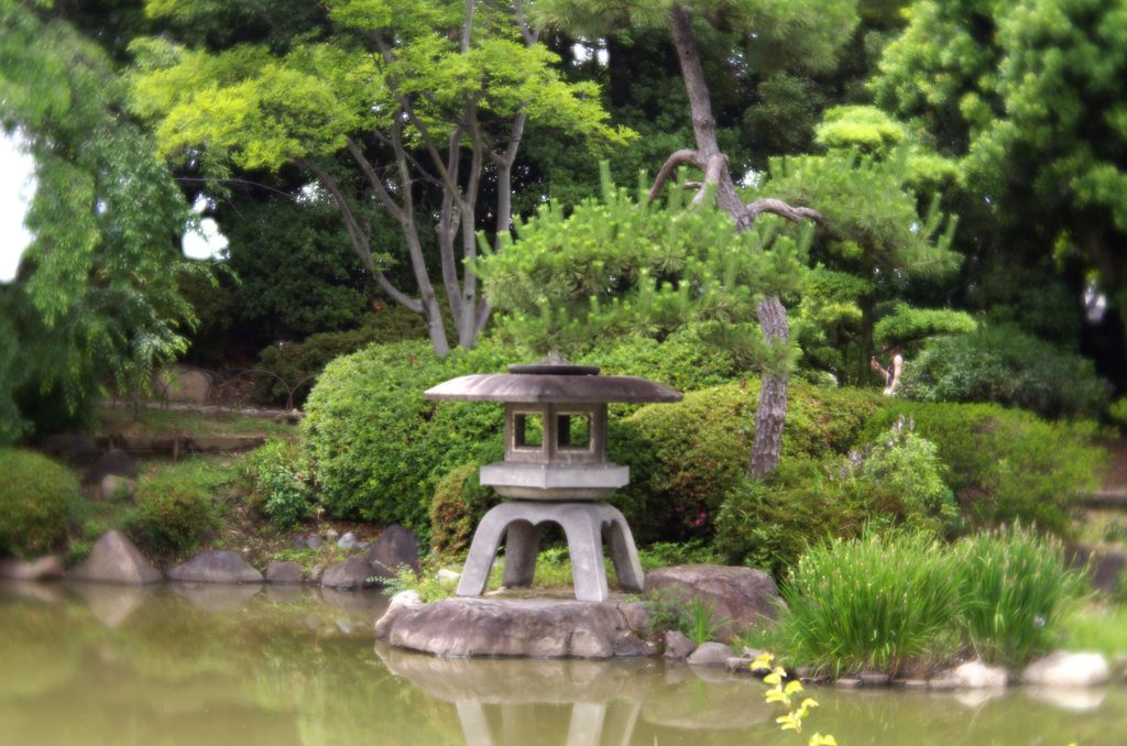 2015年6月　大阪城公園