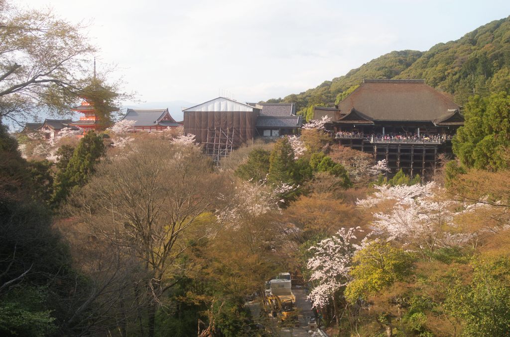 2015年4月　京都・清水寺