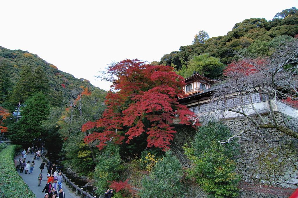 箕面滝道