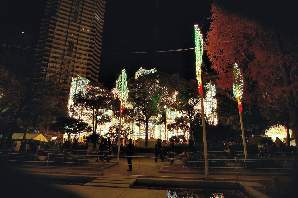 12月の風物詩
