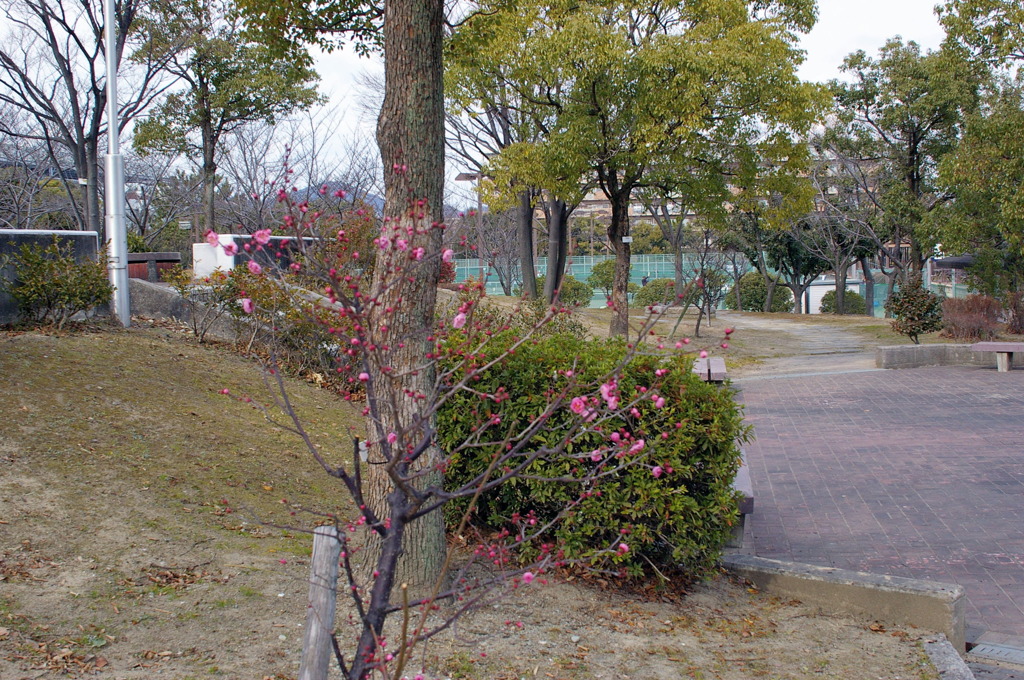 伊丹・西猪名公園