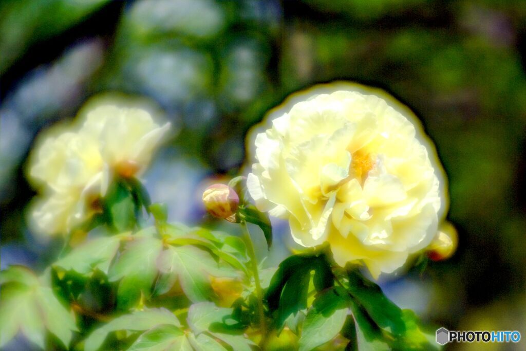 2020年5月　農業公園