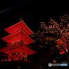 2018年4月　清水寺