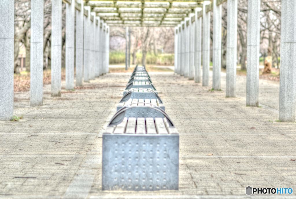 2019年1月　大阪城公園