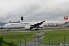 2015年6月　飛行機