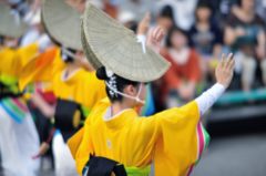 2014年8月　阿波踊り