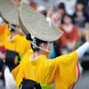 2014年8月　阿波踊り