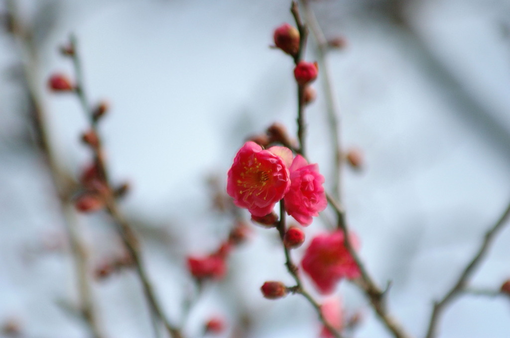 万博公園