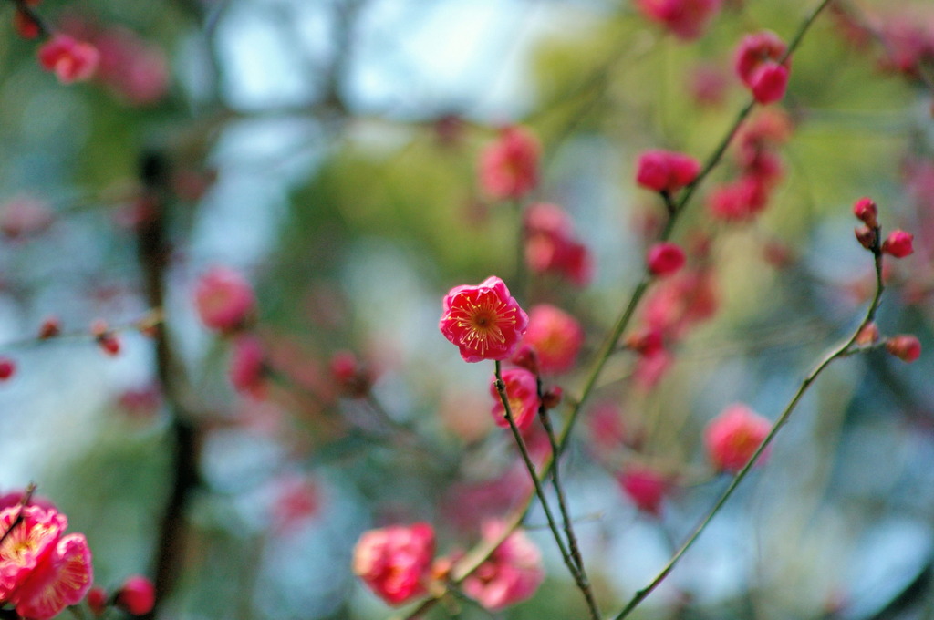 万博公園