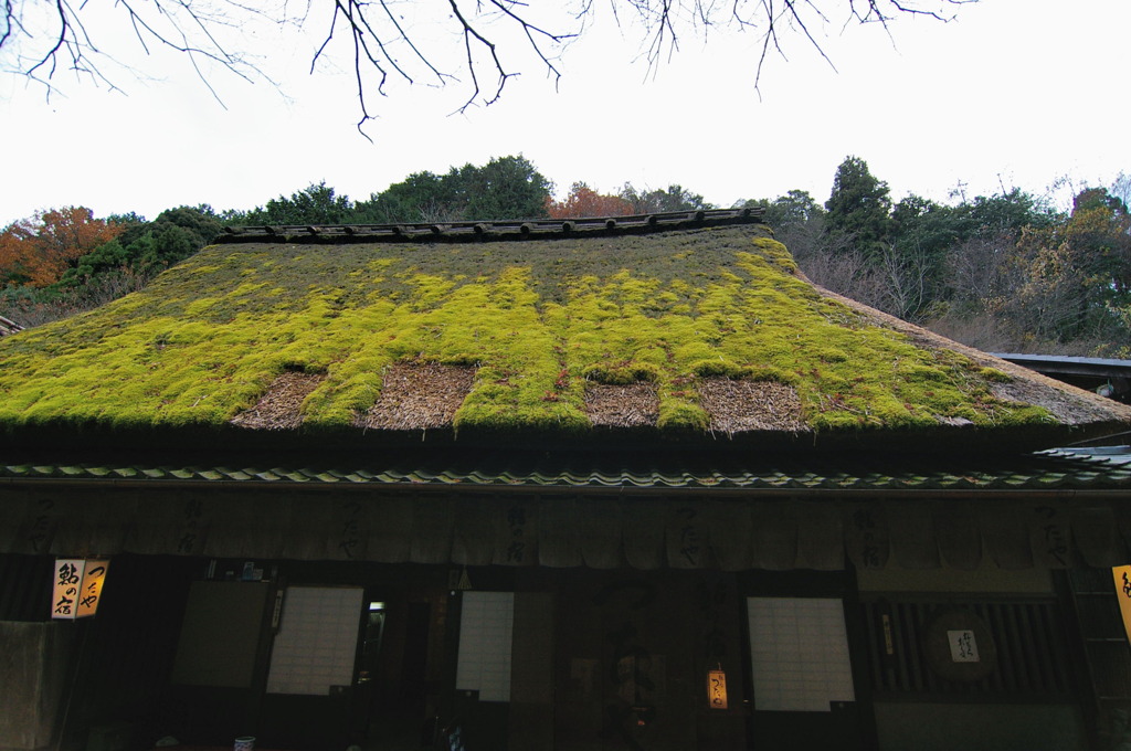 嵐山