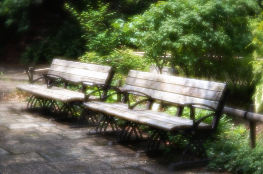 2015年6月　ベンチ