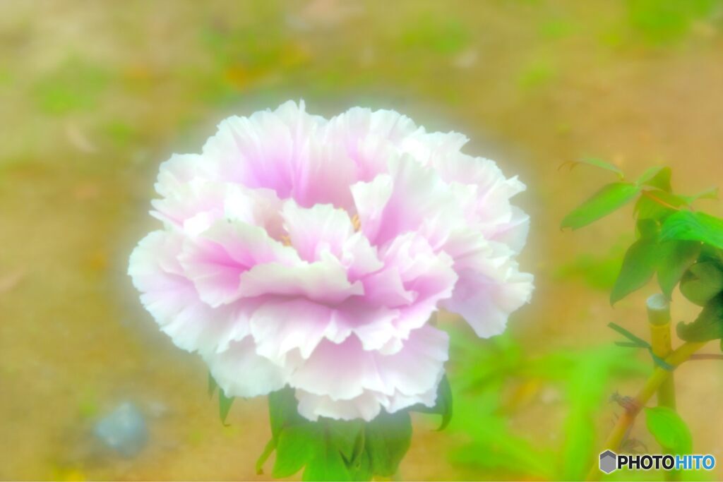 2020年5月　農業公園