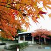 2015年12月　上坂部西公園