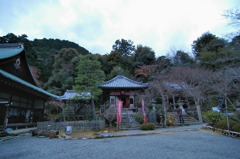 嵐山