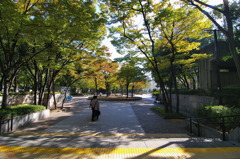 東遊園地公園