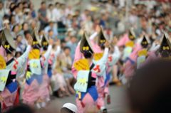 2014年8月　阿波踊り