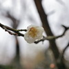 万博公園