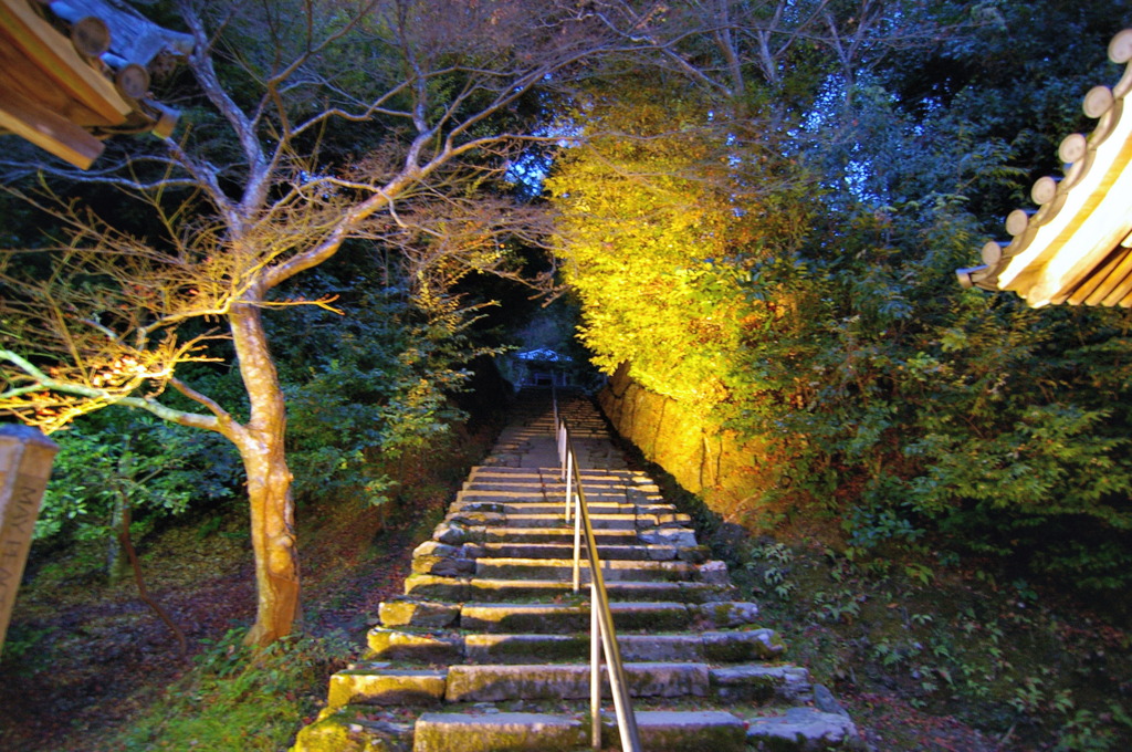 嵐山