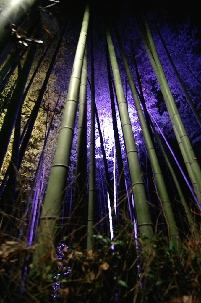 嵐山